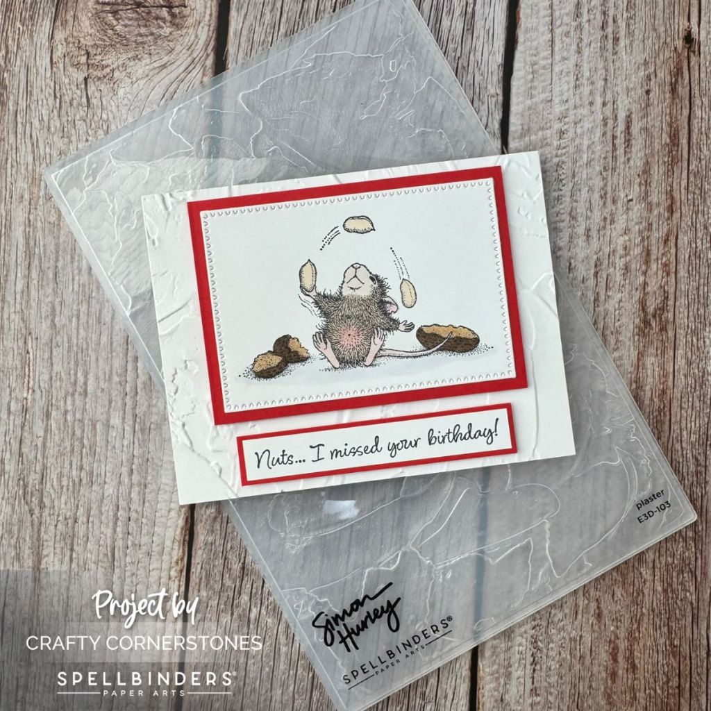 Nuts… I Missed Your Birthday! A House-Mouse Belated Birthday Card